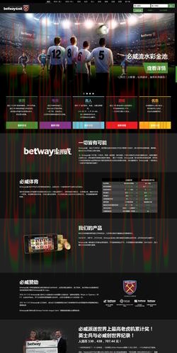 全面解析必威体育平台入口的使用方法