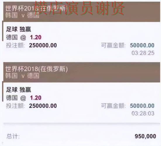 FIFA World Cup 2026背景下的世界杯买球平台推荐与用户反馈 FIFA World Cup 2026背景下的世界杯买球平台推荐与用户反馈